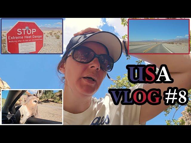 USA Vlog #8 Aufgeben in der Mojave-Wüste | Death Valley | Red Rock Canyon | Badwater Basin | Nevada