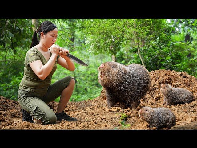 Endurance Digging Hard, Catching Bamboo Rats.../ Sleeping Overnight in a Cave, Part 10