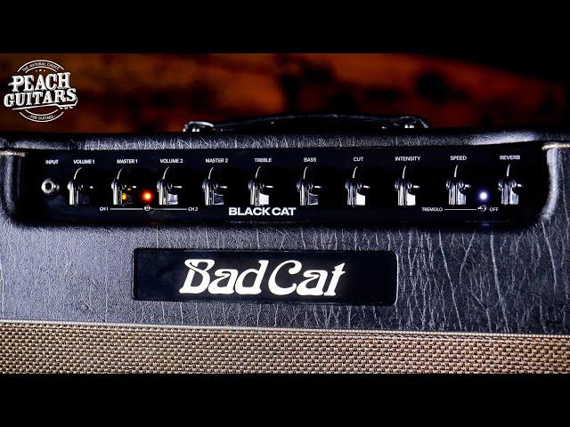 No Talking...Just Tones | Bad Cat "Black Cat"