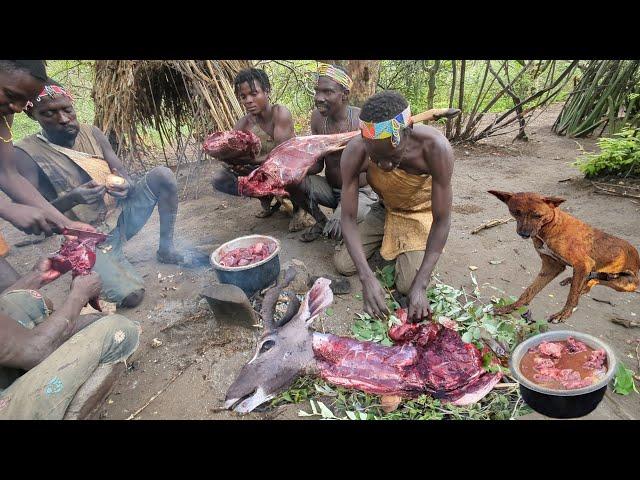 Hadza hunt and cooking meat Lunch.