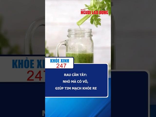 Rau cần tây: Nhỏ mà có võ, giúp tim mạch khỏe re | Khỏe Xinh 247