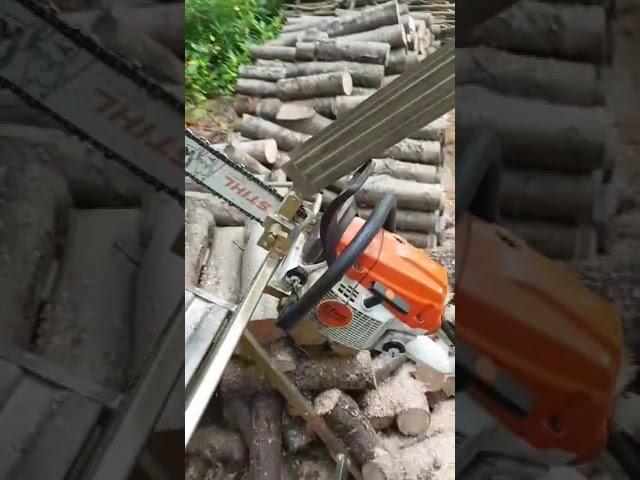 #chainsaw #firewoodcutting #chainsawman #stihl #stihlms261 #shortvideo #shorts #brennholz