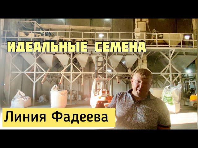 Как Александр Чумак делает семена идеальными