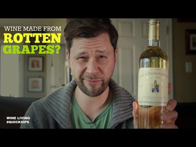 The Best Sweet Wine: Sauternes, Made with Rotten Grapes