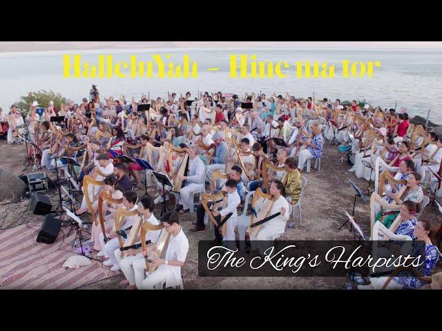HALLELUYAH HINE MA TOV (ft. Joshua Aaron, Nizar Francis), LIVE Harp Worship at Sea of Galilee