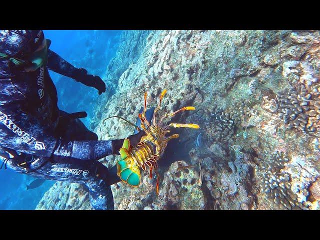 Spearfishing Hawaii with Team USA, 20lb Uku (Jobfish), Ulua House