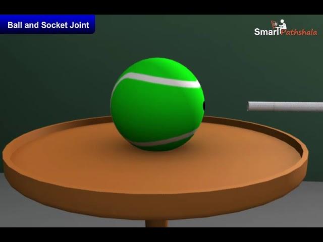 Cl6 Ch8 M2 Ball  And Socket Joint