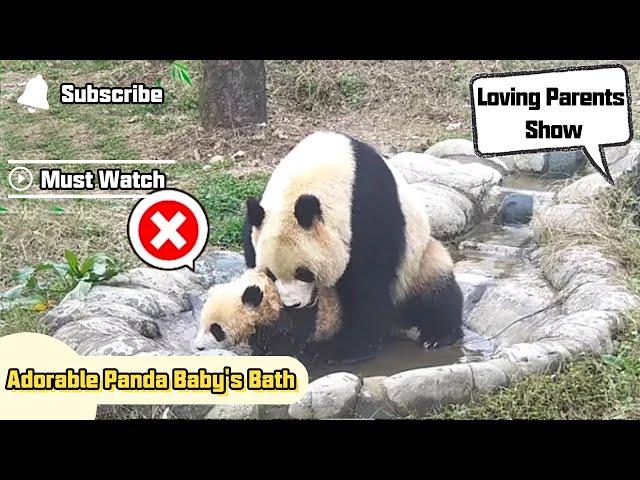 Adorable Panda Baby's Bath | iPanda