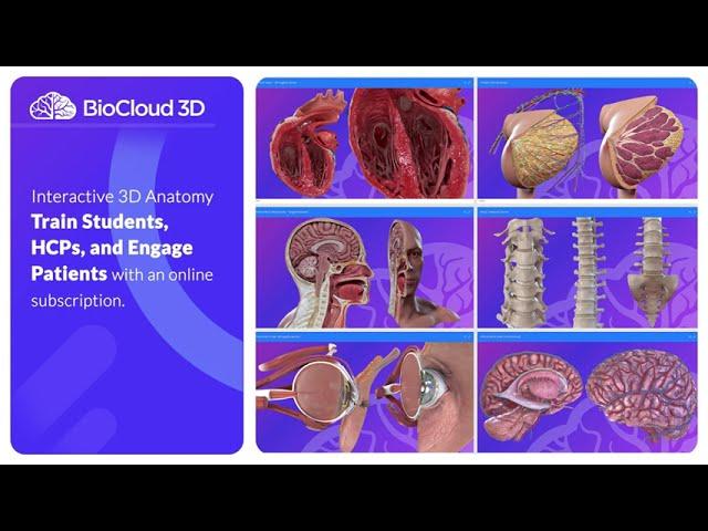 BioCloud 3D Anatomy