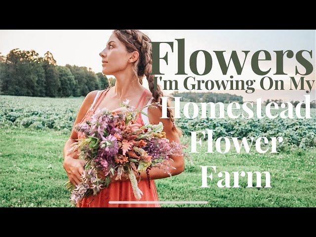 Flowers I'm Growing On My Homestead Flower Farm