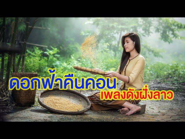 ดอกฟ้าคืนคอน | ลอนนี่ นิรันดร | เพลงดังประเทศลาว