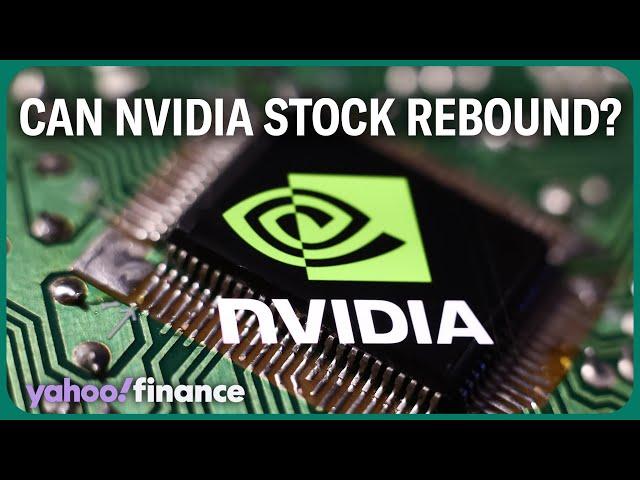 Nvidia's biggest stock market impact 'may be behind' us