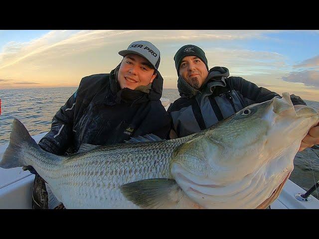 Biggest Striped Bass I’ve Ever Seen!