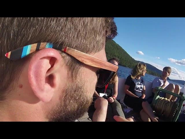 Travel bug