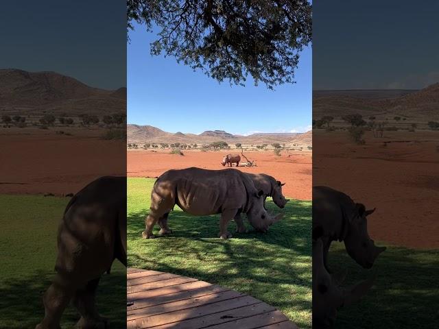 Sossusvlei - Namib Desert