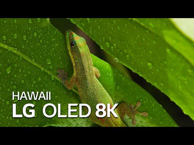 LG OLED 8K : HAWAII 8K HDR 60fps | LG