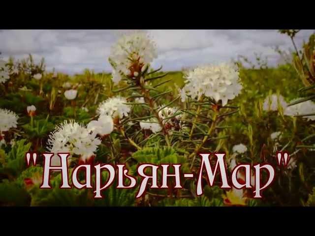 "Нарьян Мар". Поёт Валерий Сёмин-группа "Белый день"