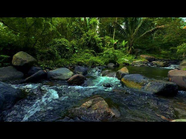 Asmr Relaxing River Sounds to help sleep, eliminate insomnia, relieve stress, for meditation