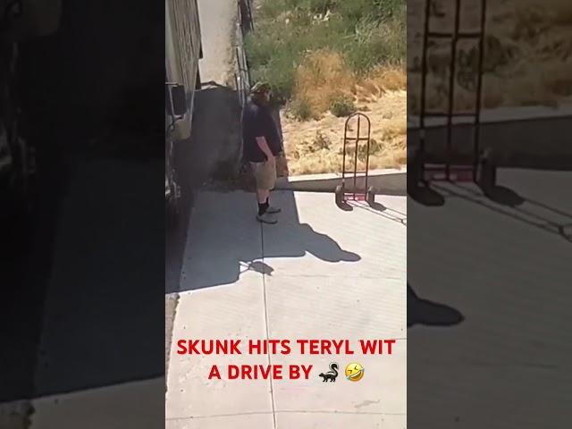 Teryl's Legendary Skunk Encounter