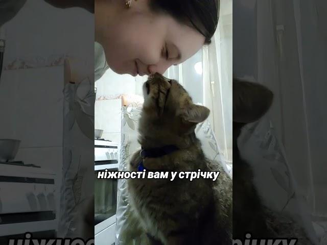 love  #youtube #влог #ukraine #чемнийкіт #cat #кіт