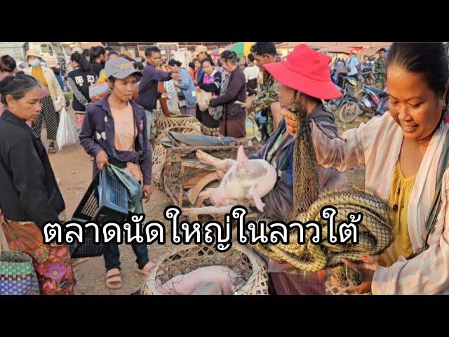 #เที่ยวลาวใต้ #ตลาดนัด ใหญ่ที่สุด..ในลาวใต้ บ้านดอนตะลาด #แขวงจำปาสัก #สปปลาว #สาวลาว น่ารัก#ของป่า