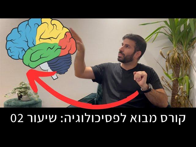 איך בנוי המוח ומהן המערכות המפעילות מחשבות, רגשות, זיכרון ועוד? | מבוא לפסיכולוגיה שיעור 02