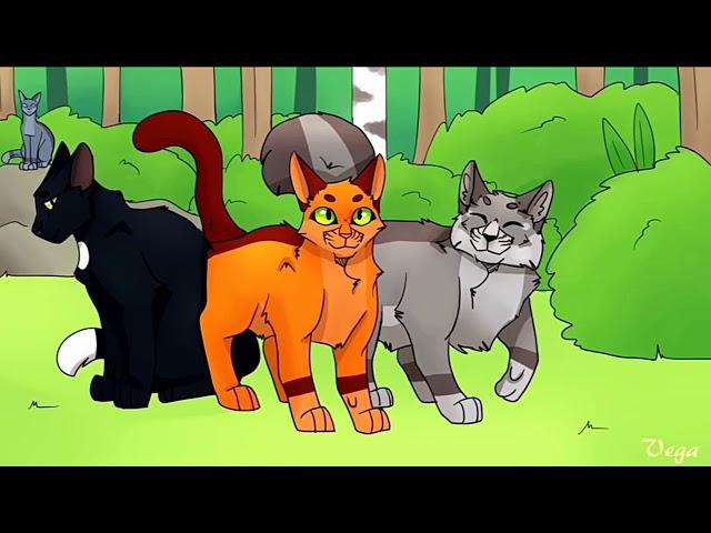 Полная история Огнезвёзда|Коты Воители|Full story of Firestar|Cats Warriors