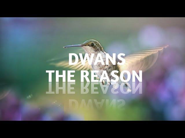 DWANS - THE REASON [CRF Release] [Copyrightfree music]