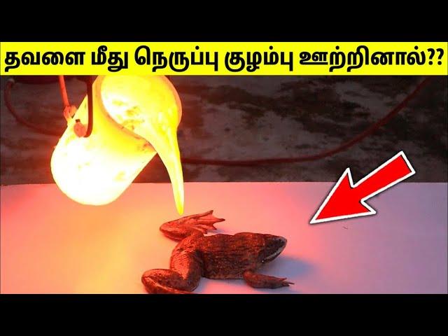 YouTube-ல் இருக்கும் வினோதமான Experiments | Crazy And Unbelievable Experiments | TAMIL AMAZING FACTS