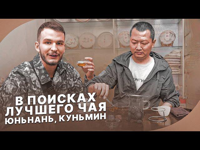 В поисках лучшего чая | Производство Пуэров | Идеальный красный чай | чаёк chaekshop