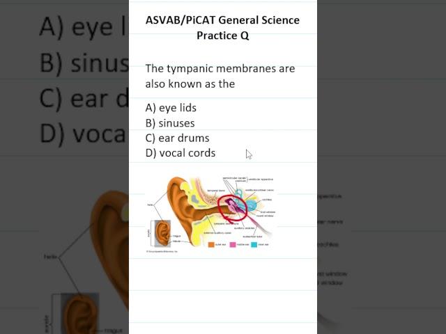 ASVAB/PiCAT General Science Practice Test Question #acetheasvab with #grammarhero