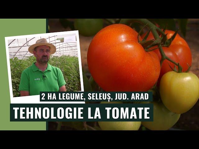 Tehnologia aplicată la tomate de Florin Pop