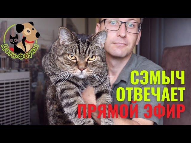 Ответы на вопросы о кошках и собаках 01.09.2024