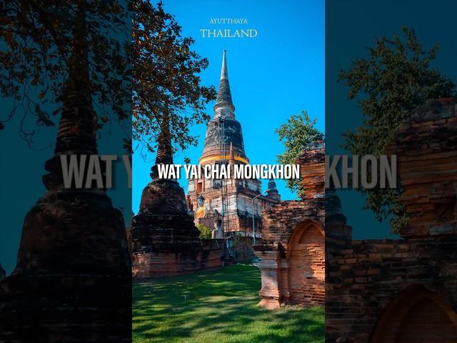 Visiting Wat Yai Chai Mongkhon: Tips & Insights for Travelers | Thailand #shorts