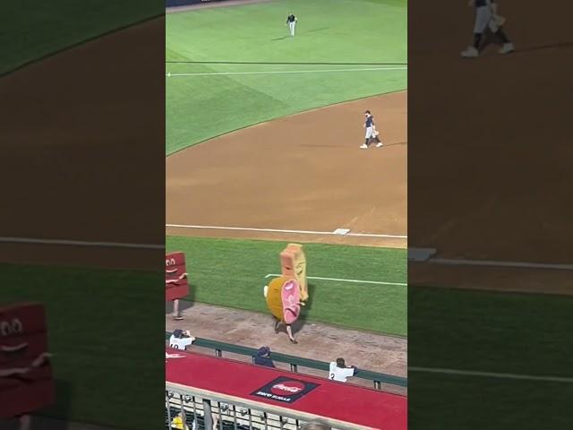 #lehighvalley #ironpigs #milb #porkrace #diggity #barbieq #hambone #ribbie #chrispbacon #5thinning