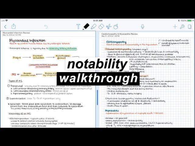 Notability on the iPad  | Walkthrough & Review ️