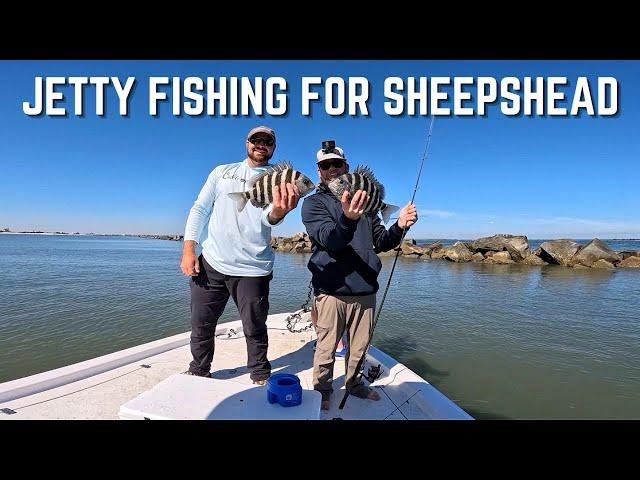 How To Fish Jetties For Sheepshead [Fishing Report]