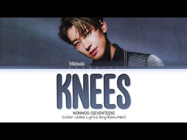 WONWOO Knees (original: IU) Lyrics (Color Coded Lyrics)