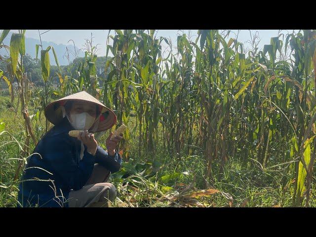 Du lịch khám phá,ẩm thực văn hóa tây Bắc quê em nhé.#dulichkhampha.#amthuc.#dulịchviệtnam