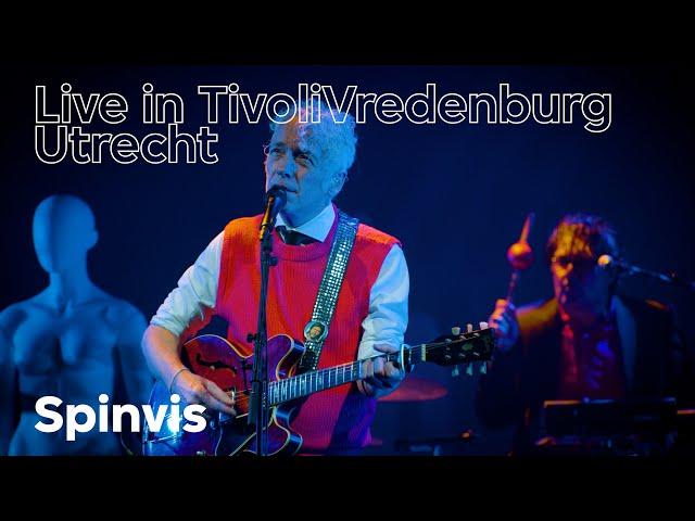 Spinvis live in TivoliVredenburg, Utrecht (4k)