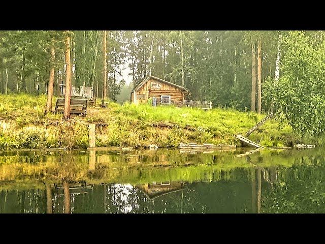 НАШЛИ ЗИМОВЬЕ В ТАЙГЕ! ЖИЗНЬ В ГЛУХОМ ЛЕСУ