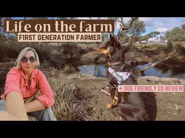 Dog Friendly Co Review | Life on the Farm | WE HAVE A MOULDY COTTAGE???