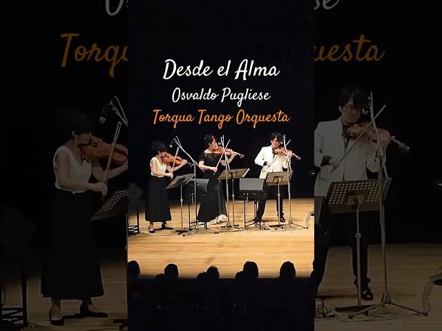 A Moment from Our Tango – Torqua Tango Orquesta #violin