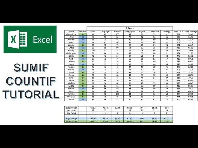 Excel CountIF Function and SumIF Function Tutorial