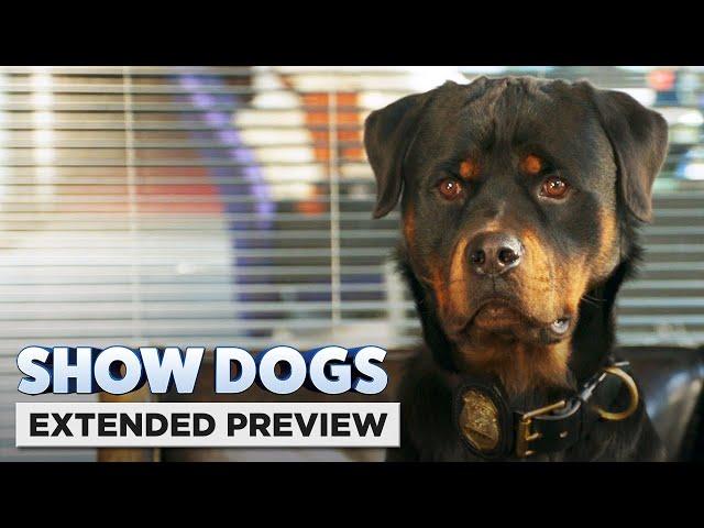 Show Dogs | "Who Let the Dogs Out?"