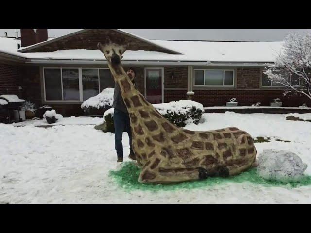 Family builds snow giraffe in Harrison Township