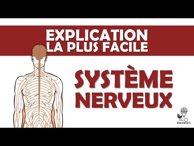 l'explication la plus facile - le Système Nerveux