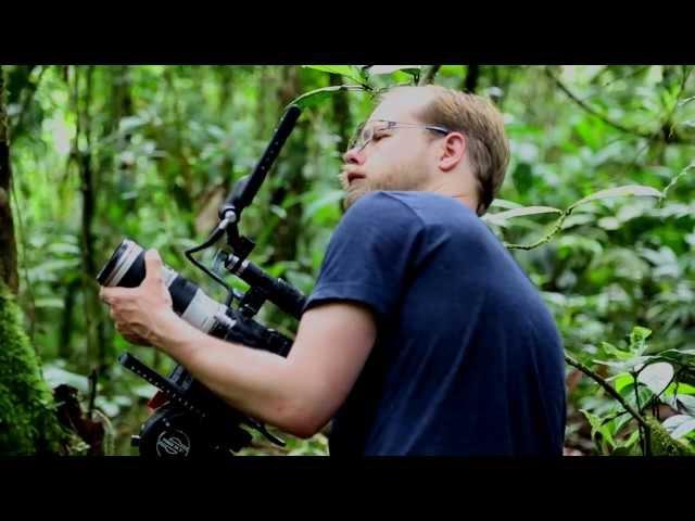 Avalanche Studios in the Jungle