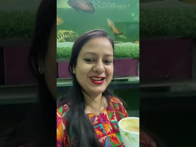 টোপর দেখে আমারি বিয়ে করতে ইচ্ছে করছে🫣যাইহোক অনেক কিছু কিনলুম শোলা ঘর থেকে