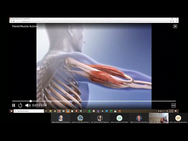 Visible Body for Pathologies and Animations